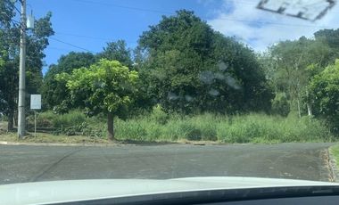 287 sqm Vacant lot in Sun Valley Estate for sale in Antipolo