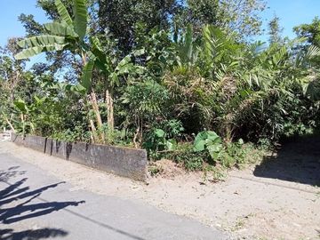 Tanah & Bangunan Sleman di Garongan, Turi: Apik