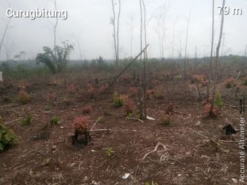 Jual Cepat Tanah Perumahan 320 Ha Di Curugbitung Lebak