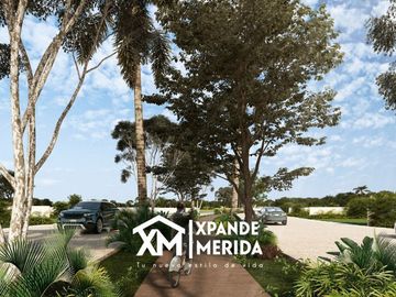 TERRENO EN VENTA AL NORTE DE MERIDA