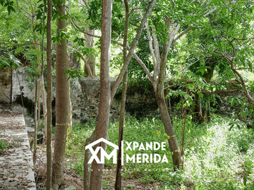 TERRENO EN VENTA AL NORTE DE MERIDA