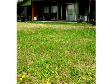 CASA QUINTA en Venta en Punta Indio - a 700 mts. del Río de La Plata