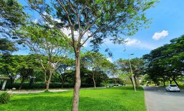 FOR SALE: 313 sqm Residential lot in Mondia ALVEO- Nuvali, Laguna