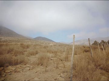 Parcelas en venta en La Serena sector Hinojal Valle de Elqui