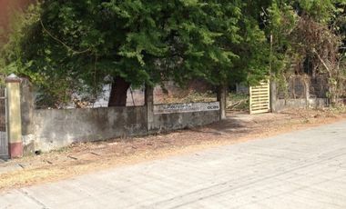A titled residential lot for Sale, San Fernando City,La Unio