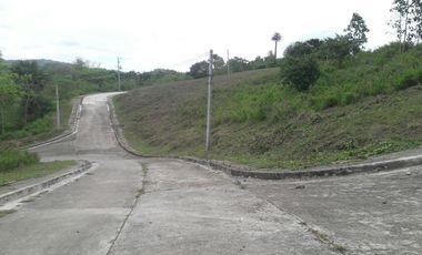Overlooking Corner Lot 290 Sqm for Sale in Greenwoods near Talamban Cebu City