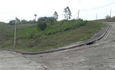 Overlooking Corner Lot 290 Sqm for Sale in Greenwoods near Talamban Cebu City