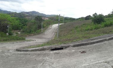 Overlooking Corner Lot 290 Sqm for Sale in Greenwoods near Talamban Cebu City