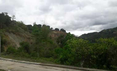 Overlooking Corner Lot 290 Sqm for Sale in Greenwoods near Talamban Cebu City