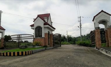 Overlooking Corner Lot 290 Sqm for Sale in Greenwoods near Talamban Cebu City