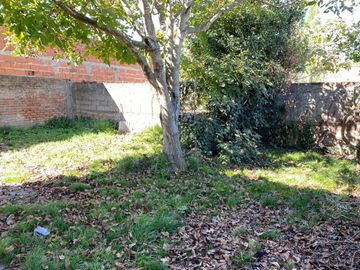 LATORRE PROP VENDE CASA DE 3 AMB CON PARQUE..URGENTE!! HAY PLANOS Y ESCRITURA