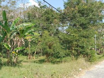 Tanah Dijual Timur SMP N 30 Purworejo, SHM Harga Promo