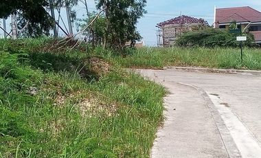 167 Sqm Lot for Sale in Vista Grande Bulacao Talisay Cebu City