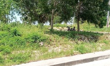 167 Sqm Lot for Sale in Vista Grande Bulacao Talisay Cebu City