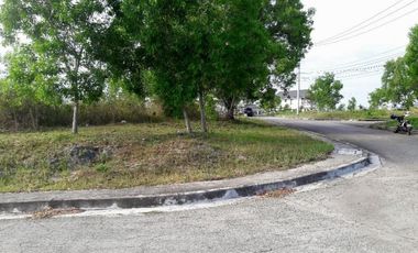 167 Sqm Lot for Sale in Vista Grande Bulacao Talisay Cebu City