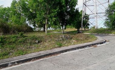 167 Sqm Lot for Sale in Vista Grande Bulacao Talisay Cebu City