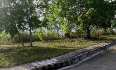 167 Sqm Lot for Sale in Vista Grande Bulacao Talisay Cebu City
