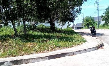 167 Sqm Lot for Sale in Vista Grande Bulacao Talisay Cebu City
