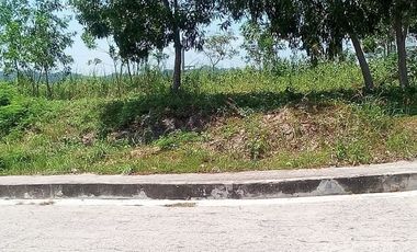 167 Sqm Lot for Sale in Vista Grande Bulacao Talisay Cebu City