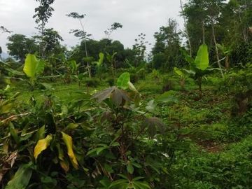 Tanah Dijual di Cikalong Wetan Bandung