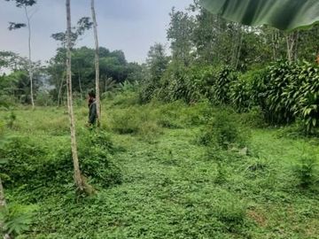 Tanah Dijual di Cikalong Wetan Bandung