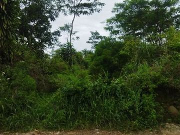 Tanah Dijual di Cikalong Wetan Bandung