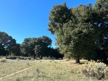 Se vende Terreno en Santa Véronica, Tecate, B.C.