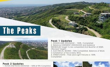 High End Lot Only subdivision in Cebu City