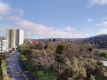 AVENIDA LOS CARRERA / VERGARA