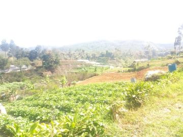 Dijual Cepat Tanah Murah 10 Ha Di Lembang Kota Bandung Barat