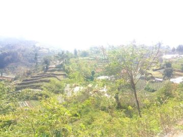 Dijual Cepat Tanah Murah 10 Ha Di Lembang Kota Bandung Barat