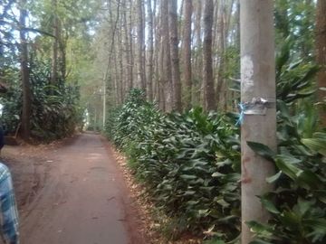 Dijual Cepat Tanah Murah 10 Ha Di Lembang Kota Bandung Barat