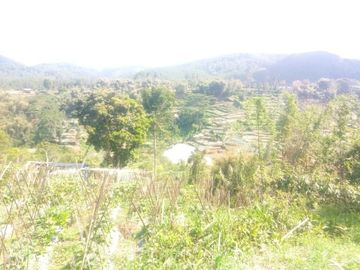 Dijual Cepat Tanah Murah 10 Ha Di Lembang Kota Bandung Barat