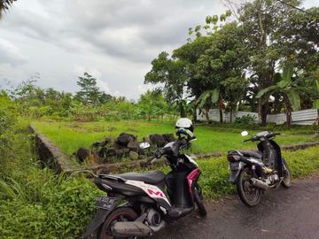 Dijual Tanah Pekarangan di Jalan Kaliurang km 11: Cocok Untuk Apapun