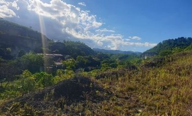 108 SQM Subdivision Lot for Sale in ASPEN HEIGHTS Consolacion Cebu. PROMO 5 years NO INTEREST