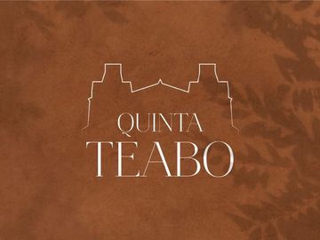 TERRENO EN VENTA YUCATÁN, IDEAL PARA FINCAS EN ZONA TURÍSTICA ARQUEOLOGICA