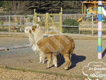 Parcela en venta en Algarrobo