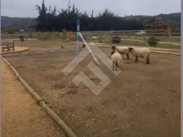Parcela en venta en Algarrobo
