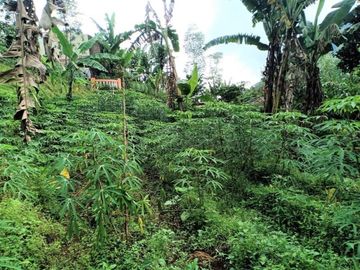 Jual Tanah Dekat Sungai Kemuning Karanganyar