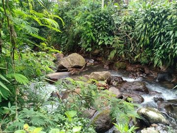 Jual Tanah Dekat Sungai Kemuning Karanganyar