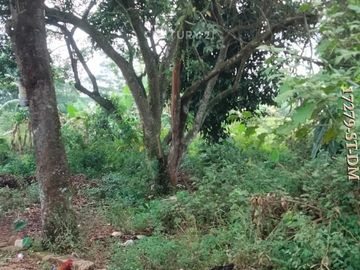 Di Jual Kavling Datar Siap Bangun Lokasi Di Area Cileungsi