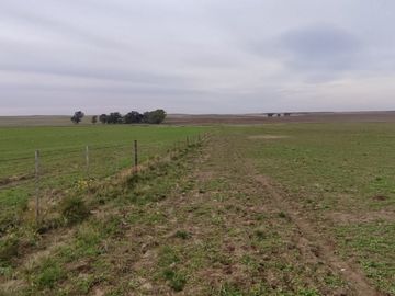 CAMPO MIXTO EN VENTA EN CORONEL DORREGO