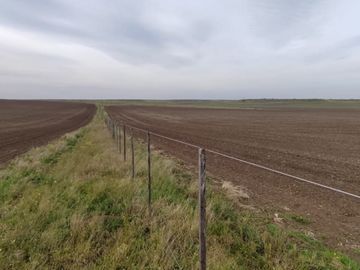 CAMPO MIXTO EN VENTA EN CORONEL DORREGO