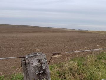 CAMPO MIXTO EN VENTA EN CORONEL DORREGO