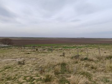 CAMPO MIXTO EN VENTA EN CORONEL DORREGO