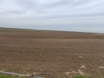 CAMPO MIXTO EN VENTA EN CORONEL DORREGO