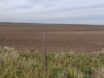 CAMPO MIXTO EN VENTA EN CORONEL DORREGO