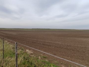 CAMPO MIXTO EN VENTA EN CORONEL DORREGO