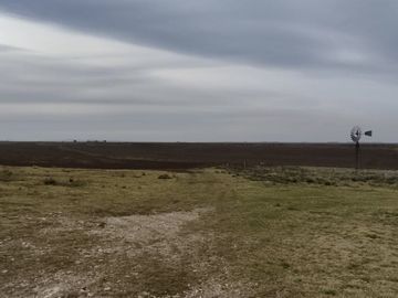 CAMPO MIXTO EN VENTA EN CORONEL DORREGO