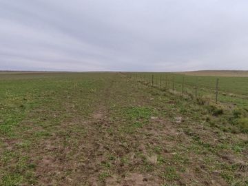 CAMPO MIXTO EN VENTA EN CORONEL DORREGO